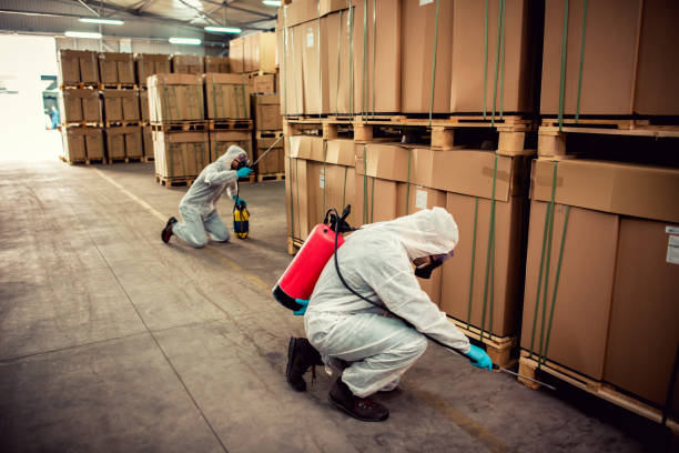 Best Local Pest Control Services  in Ardia, CA