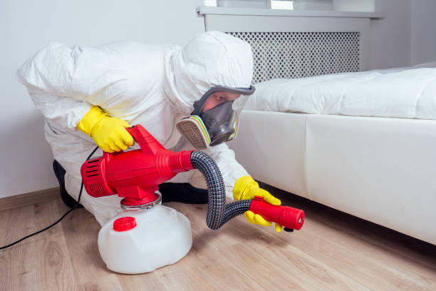 Trusted Arcadia, CA Pest Control Experts