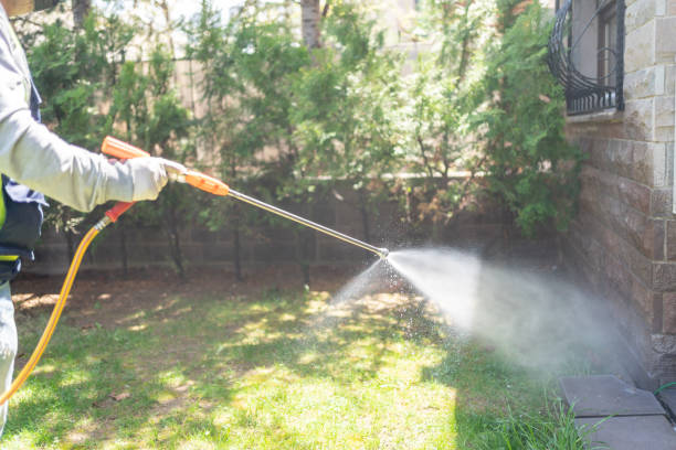 Best Mosquito Control Services  in Ardia, CA