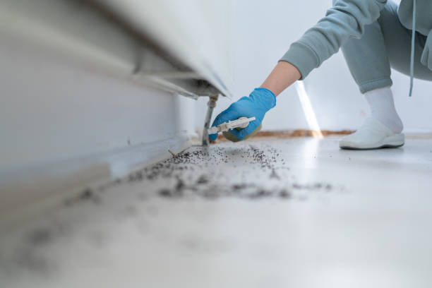 Best Pest Control Near Me  in Ardia, CA